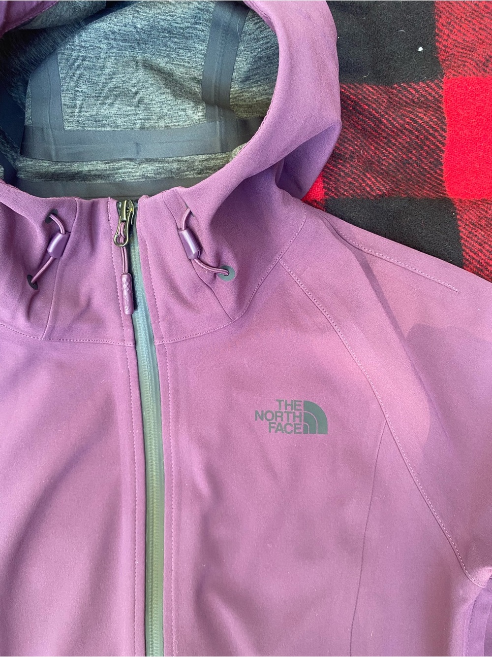 The North Face Women's Apex Flex GORE-TEX GTX Jacket (Size: SMALL)